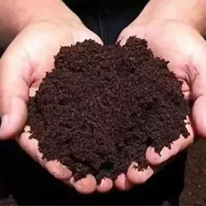ورمی کمپوست